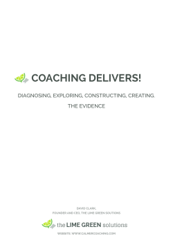 Coaching Works - The Lime Green Solutions