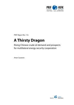 A Thirsty Dragon: Rising Chinese Crude Oil Demand and Prospects