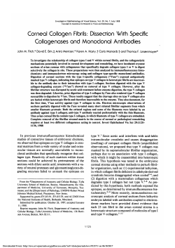 Corneal collagen fibrils: dissection with specific collagenases