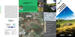 The Pokljuka plateau and its peat bogs