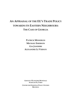 an appraisal of the eu`s trade policy towards its eastern neighbours