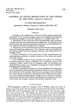 control of sound production in the syrinx of the fowl gallus gallus