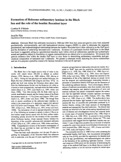 Formation of Holocene sedimentary laminae in the Black Sea and