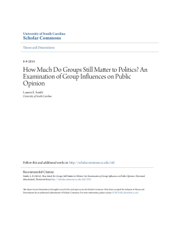 An Examination of Group Influences on Public Opinion