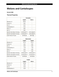 Melons And Cantaloupes