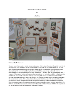 Allie King, &ldquo;The Orange Stripe Across Viet Nam&rdquo;