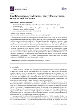 Bird Integumentary Melanins: Biosynthesis, Forms, Function and