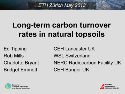 Long-term carbon turnover rates in natural topsoils