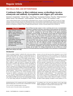 Cytokinesis failure in RhoA-deficient mouse erythroblasts involves