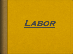 Labor Packet Power Point