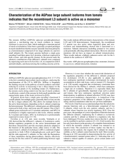Characterization of the AGPase large subunit isoforms from tomato
