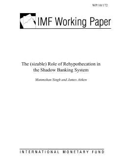 (sizable) Role of Rehypothecation in the Shadow Banking