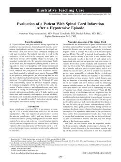 Illustrative Teaching Case