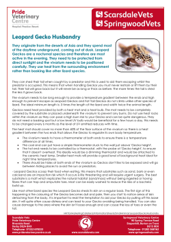 They originate from the deserts of Asia and they spend most of the