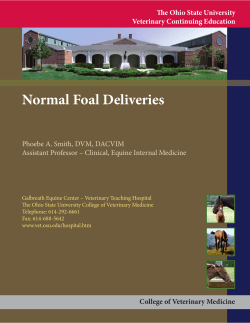 Normal Foal Deliveries - The Ohio State University College of