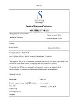 The effect of proteolytic lysosomal enzymes and cathepsin B on