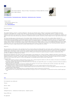 PDF version
