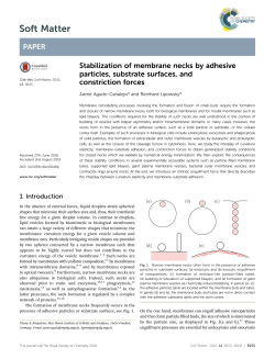 Stabilization of membrane necks by adhesive particles, substrate