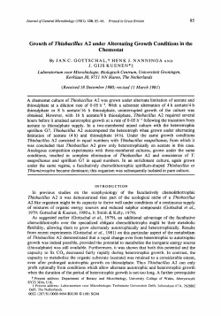 Growth of Thiobacillus A2 under Alternating Growth