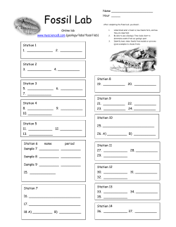 Fossil Lab - my science 8