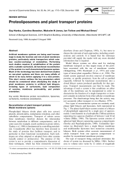 Proteoliposomes and plant transport proteins