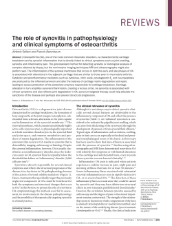 The role of synovitis in pathophysiology and