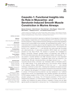 Caveolin-1: Functional Insights into Its Role in Muscarine