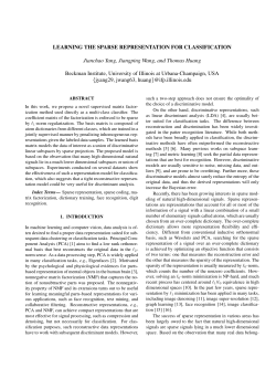 LEARNING THE SPARSE REPRESENTATION FOR