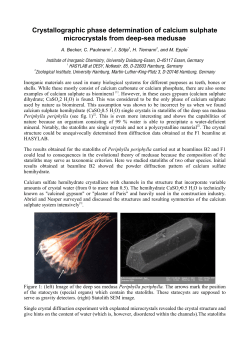 Crystallographic phase determination of calcium sulphate