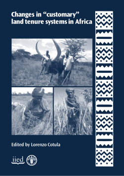 Changes in &ldquo;customary&rdquo; land tenure systems in Africa