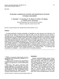 G-protein a-subunits in cytosolic and membranous fractions of