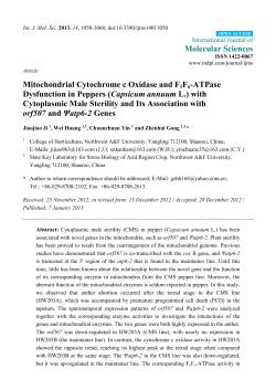 Mitochondrial Cytochrome c Oxidase and F1Fo