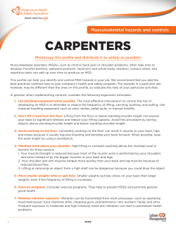 MSD Profile Carpenters (W316)