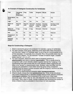 Cladogram - Oxnard College