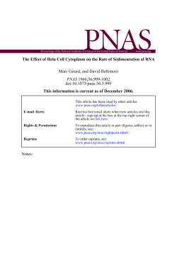 The Effect of Hela Cell Cytoplasm on the Rate of Sedimentation of