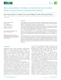 Slow carboxylation of Rubisco constrains the rate of carbon fixation