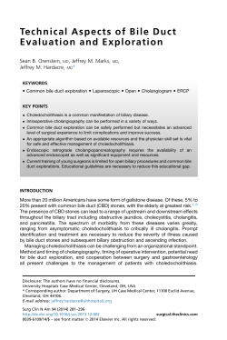Technical Aspects of Bile Duct Evaluation and Exploration