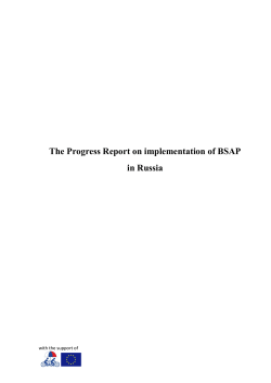 The Progress Report on implementation of BSAP in Russia
