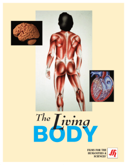 831 LB Nerves at Work TG - The Described and Captioned Media