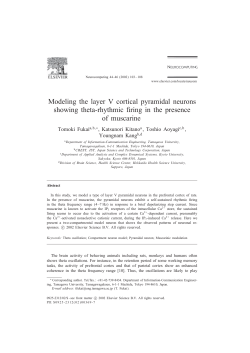 Modeling the layer V cortical pyramidal neurons showing theta