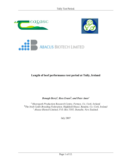 Length of beef performance test period at Tully, Ireland