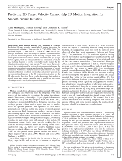 Predicting 2D Target Velocity Cannot Help 2D Motion Integration for