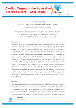 Cardiac Output in the Australian Bearded Lizard &ndash; Case