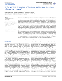Is the genetic landscape of the deep subsurface biosphere affected