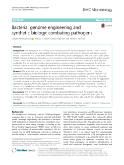 Bacterial genome engineering and synthetic