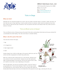 HERE - ARKLE Veterinary Care