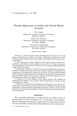 Thermal adjustments in cardiac and skeletal muscles of lizards