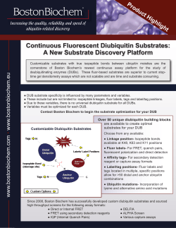 Continuous Fluorescent Diubiquitin Substrates: A New Substrate
