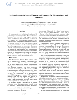 Looking Beyond the Image - The Computer Vision Foundation