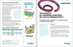 to learn more. - Safe-guard Cattle Dewormer